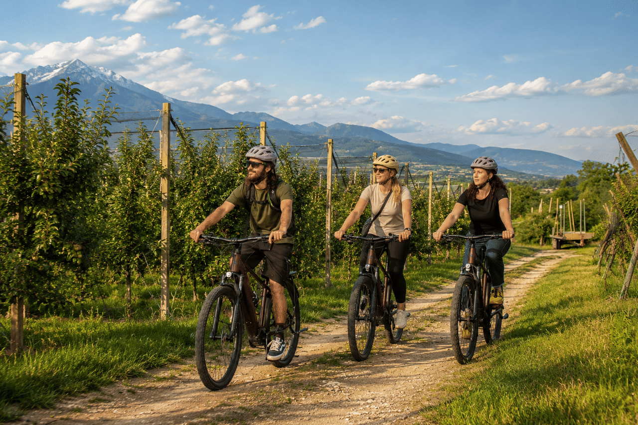 E-Bike Tour and Wine Tasting from Bardolino 6