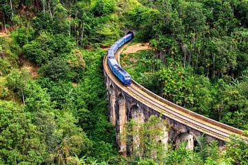 Ella Day Tour with Tea Factory Visit from Colombo or Negombo