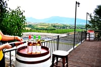 Rupel Winery - Wine Tastings, Tours & Activities 1