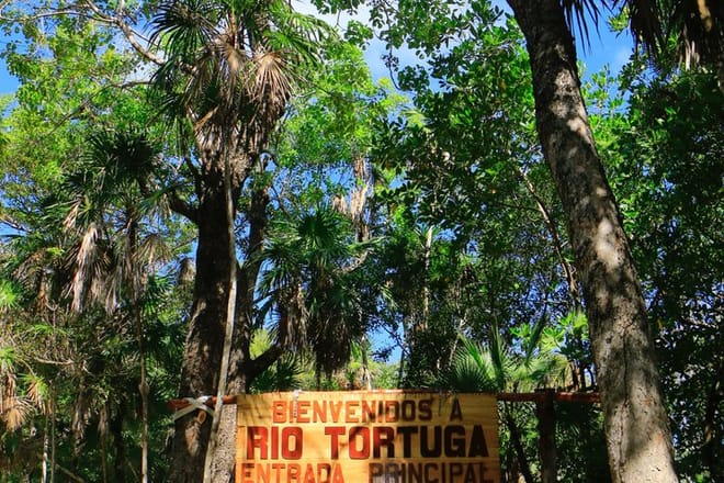 Tour en Cenote de Tulum 5 Cenotes y Despierta Tus Sentidos