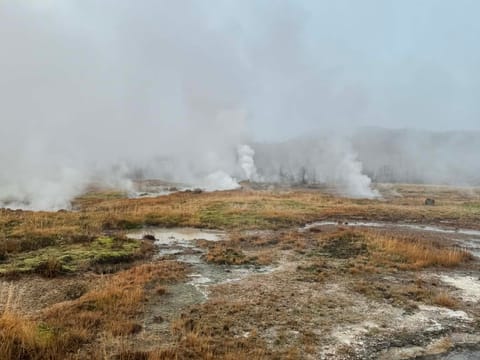Grand Golden Circle Small Group Tour from Reykjavik, photo 4