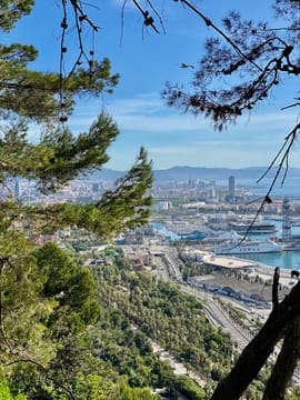 Discover the Olympic Mountain - Private Tour