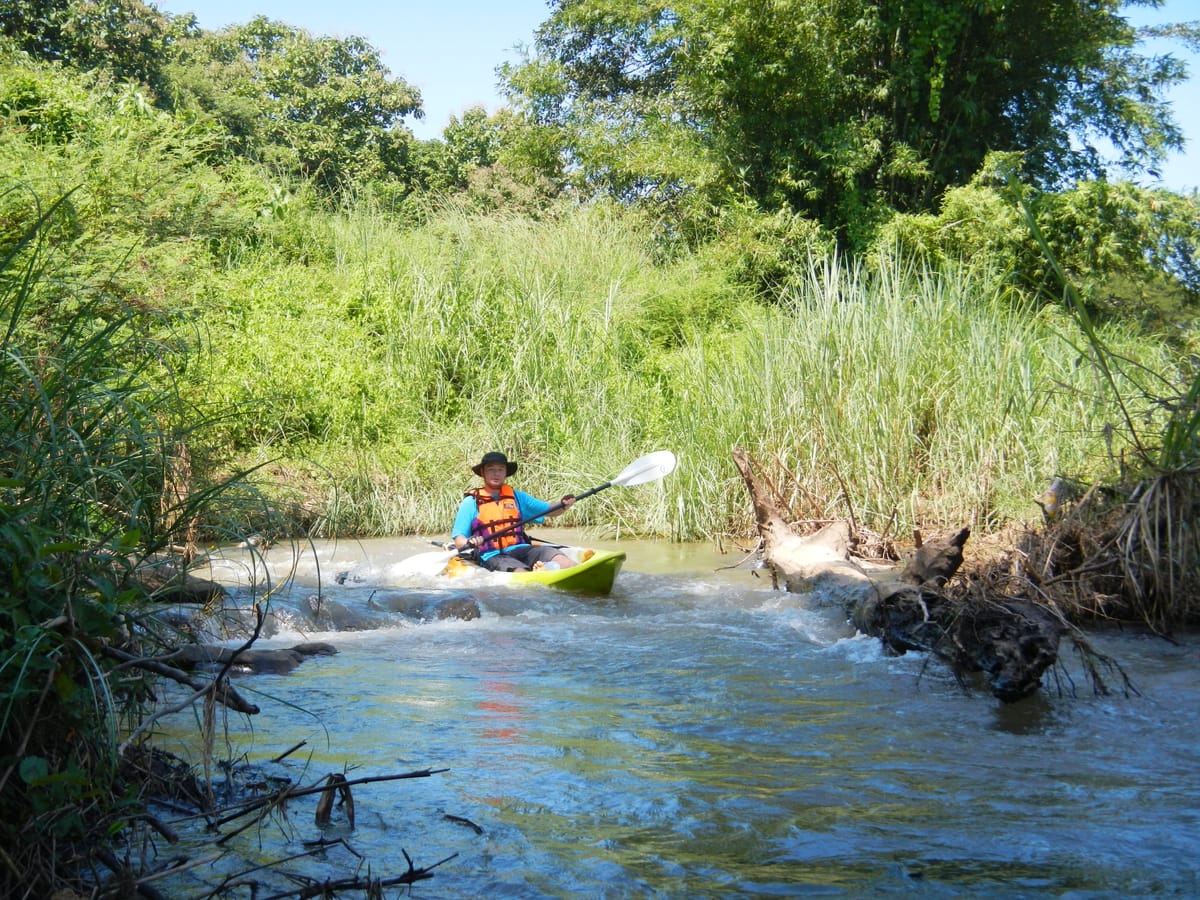 Chiang mai Suthep National Park Leisure Hiking & Mountain Biking
