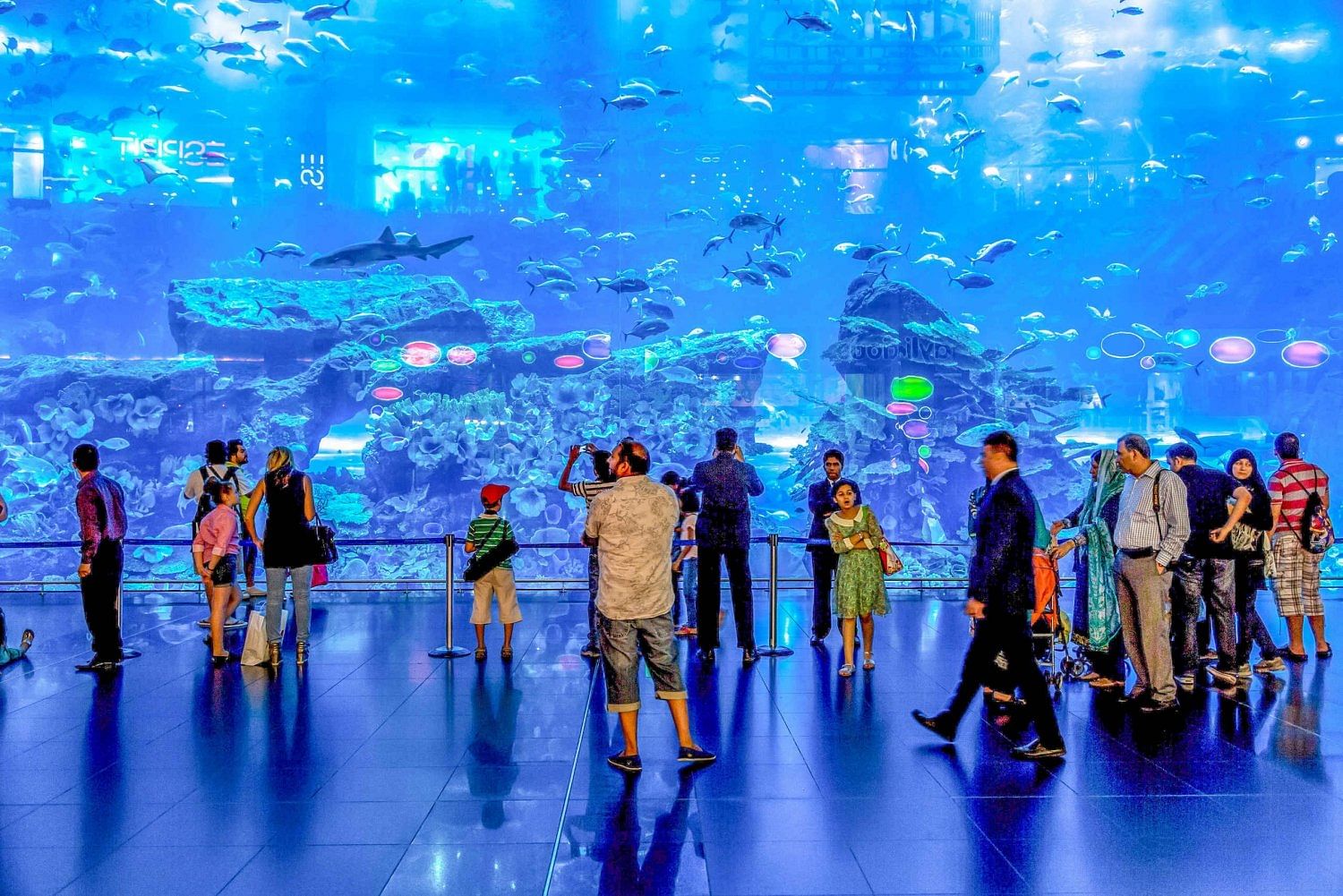 Skip-the-Line Ticket to Dubai Aquarium and Underwater Zoo