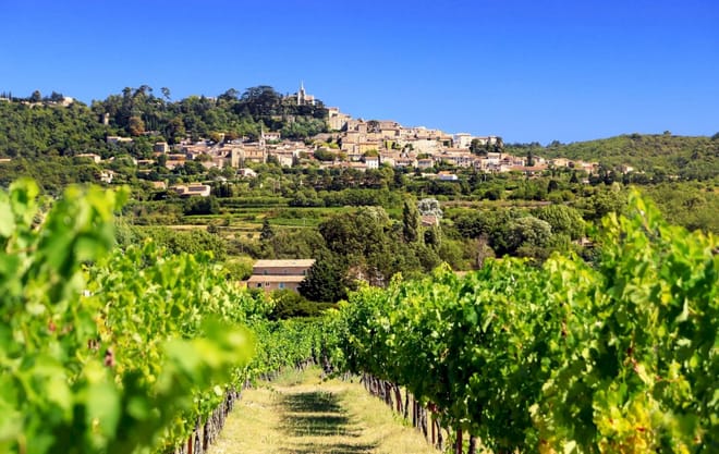 Antibes Shore Excursion: Private Provence Wine Experience