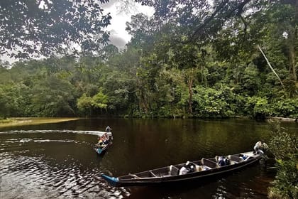 Shared Taman Negara Nature Tour with Lata Berkoh Falls