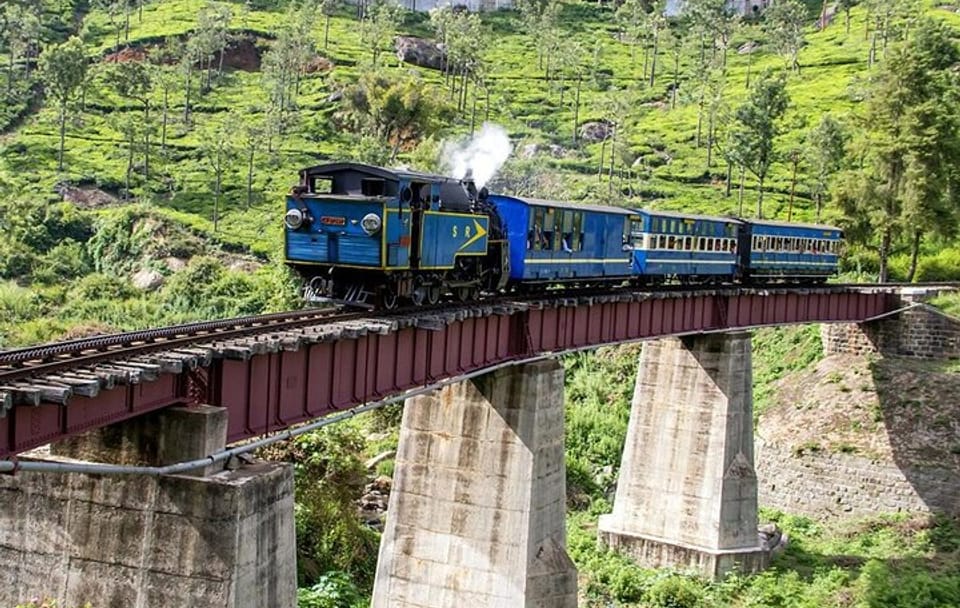 Coimbatore to Ooty Tour with Hotel and Sightseeing Excursions