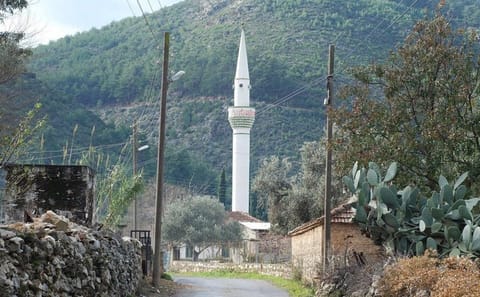 Private Carpet Weaving Tour in Pınarlıbelen, Bodrum