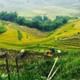 Sapa Real Experience 2 Days 1 Night at Local Family Homestay