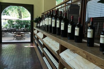 Private Wine Tasting Tour in Cape Winelands from Cape Town