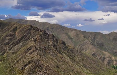Half-Day Villavicencio Natural Reserve Tour from Mendoza