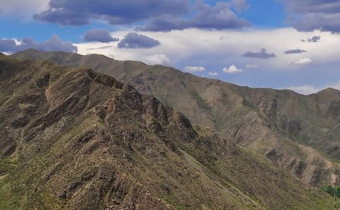 Half-Day Villavicencio Natural Reserve Tour from Mendoza