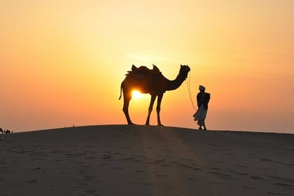Desert Safari and Camel Adventure Tour
