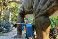 Kemer Dinopark Tour with hotel transfer  4