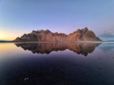 Private Tour from Djupivogur - The Eastfjord