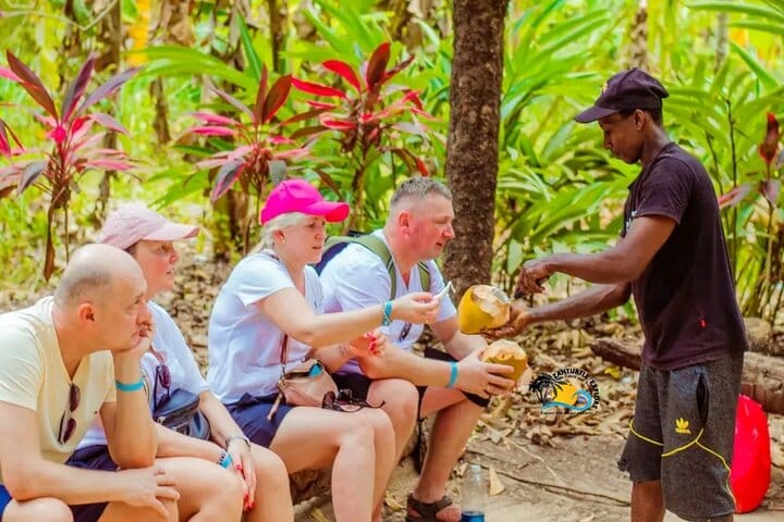 Zanzibar Mnemba Island Dolphins, Jozani Forest and Sea Turtles