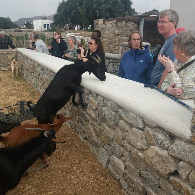 Mykonian Farm Experience photo 4