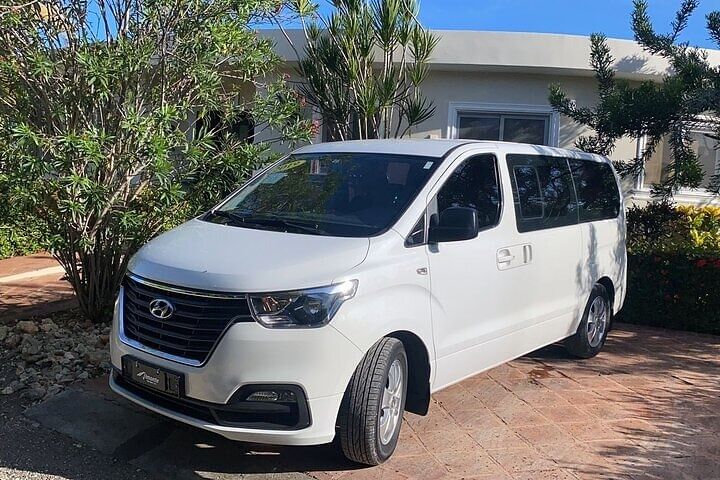 Damajagua Waterfalls and Monkey Private Van Tour