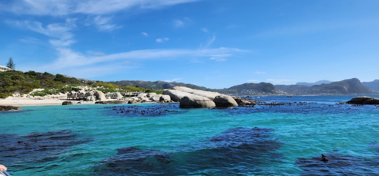 Marine eco charter, False Bay. Cape Town. Guided