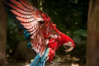 Bird Park