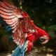 Bird Park