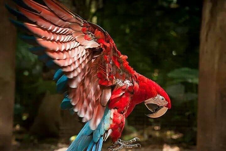 Bird Park