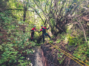 Canyoning in the Rainforest 3
