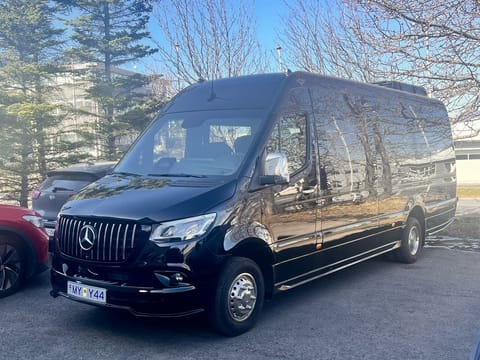 Private Transfer to or from Keflavik Airport To Reykjavik. Luxury Sprinter 19 Pax