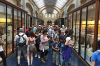 A Day At The Museum - Natural History Museum London 7