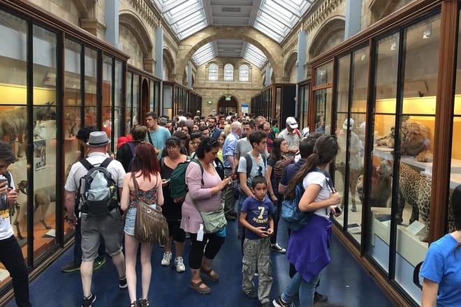 A Day At The Museum - Natural History Museum London 7