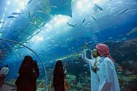 Discount offer for dubai aquarium with tour visionary