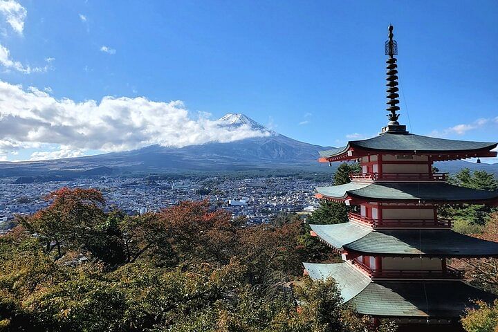 2 Days Private Tour: Tokyo / Mt Fuji and Hakone