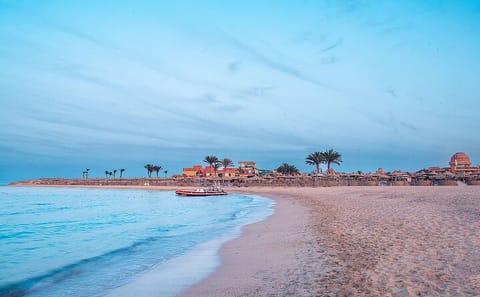Snorkeling Adventure at Abu Dabab from Hurghada