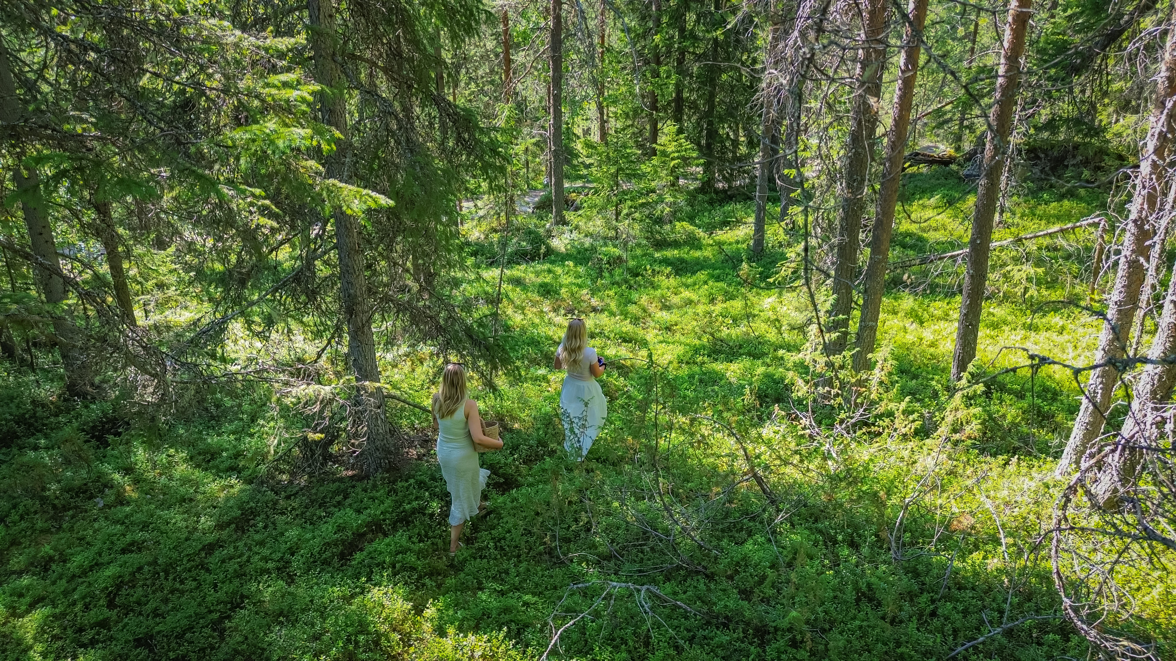 A group of travelers walking through the lush trails of Kuoksa during StayLapland’s Hidden Trails of Kuoksa tour, from Rovaniemi