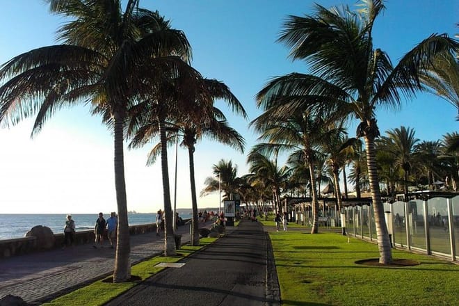 Rent a Mountain Bike from 4 hours until 7 Days in Maspalomas : Visit Gran Canaria South 8