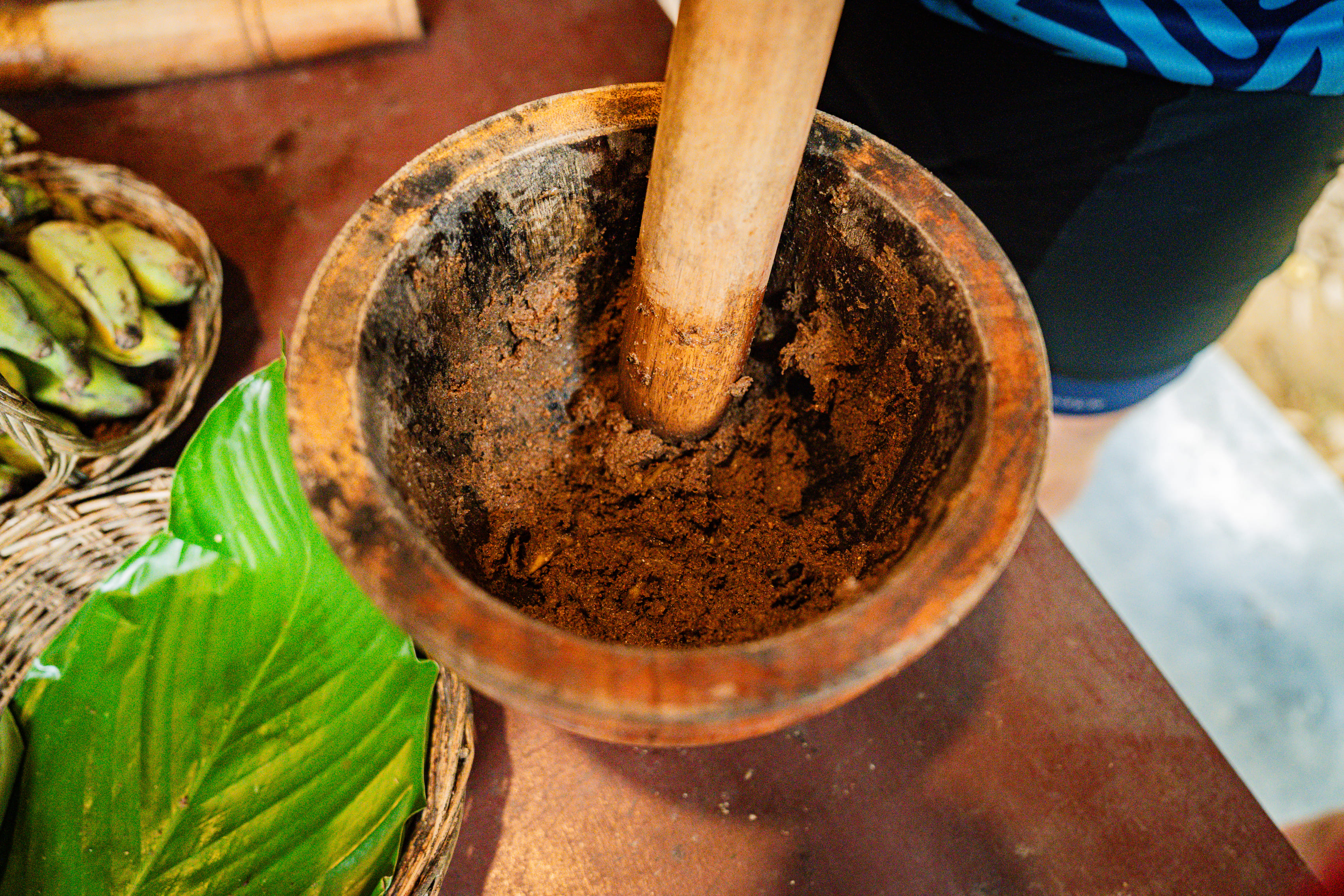 Explore More Elephant Care Program ( Driving Tour )