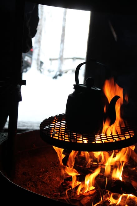 Snowshoe trek to Finnish Forest photo 4