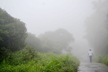 Ambuluwawa & Ramboda Falls Tour (German & English)