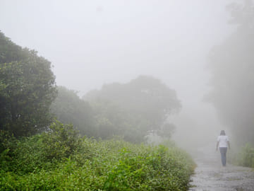Ambuluwawa Tower and Ramboda Falls Day Tour in Kandy