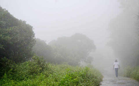 Ambuluwawa Tower and Ramboda Falls Day Tour in Kandy