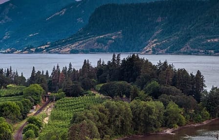 Mt Hood & Columbia River Private tour from Portland