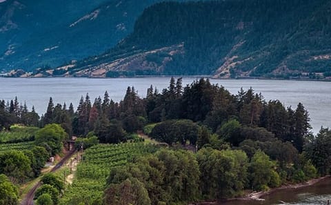 Private Mt. Hood and Columbia River Tour from Portland