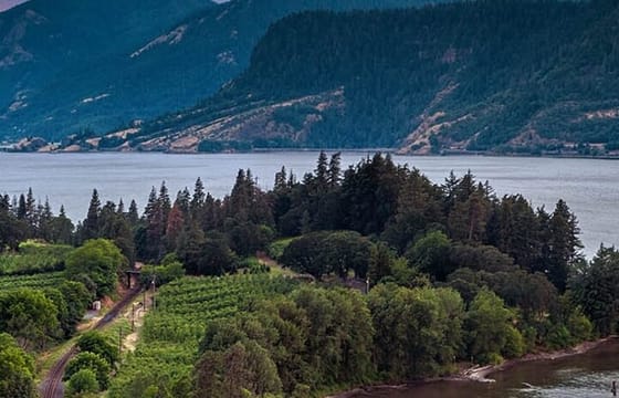 Mt Hood & Columbia River Private tour from Portland