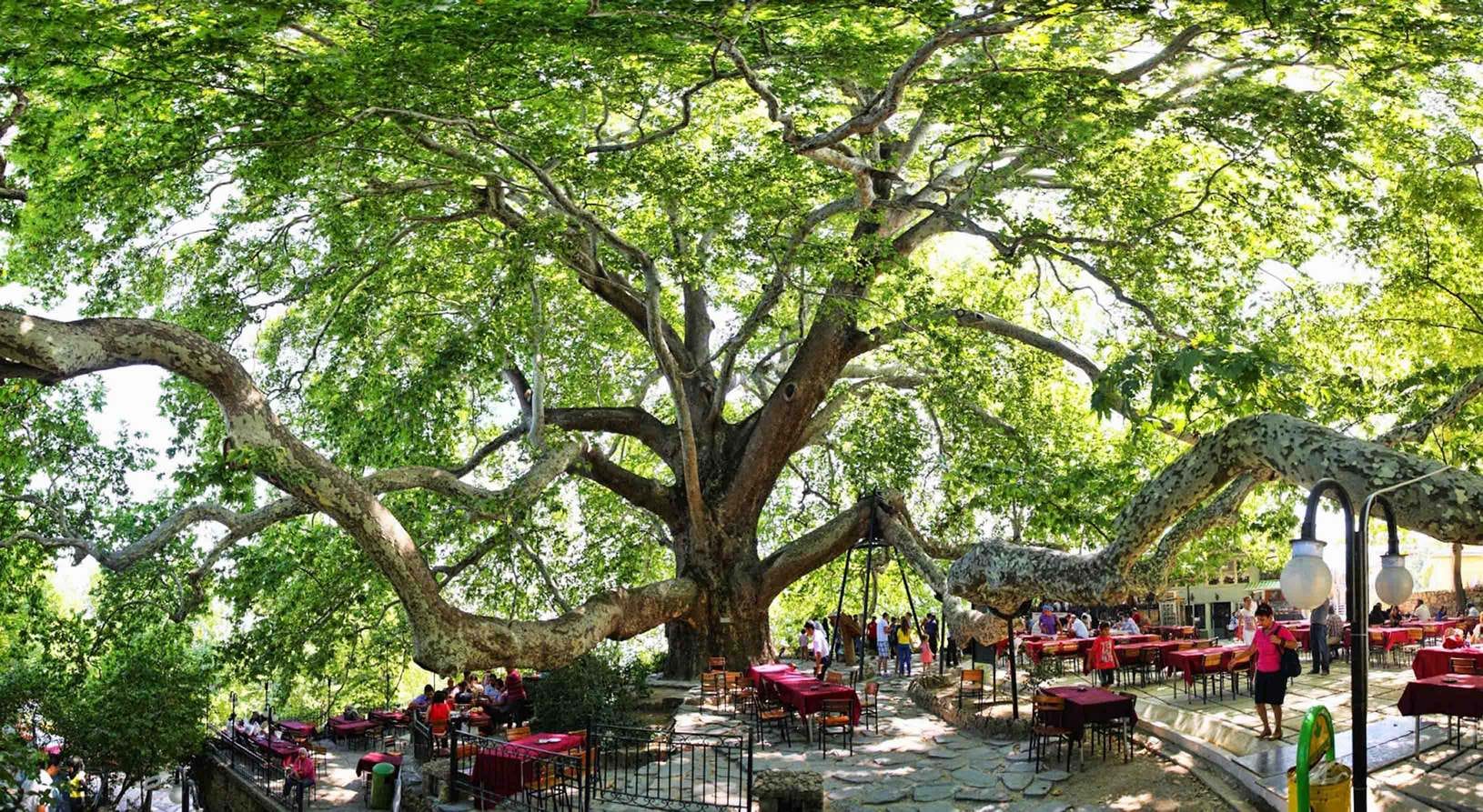 Full Day Bursa & Uludag Tour with Lunch with Daytur