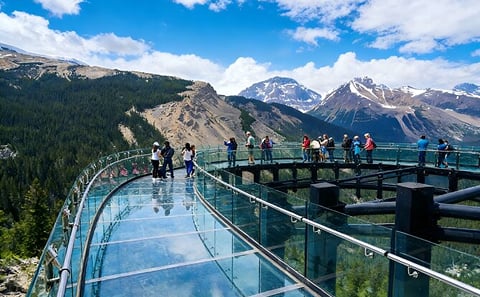 Luoyang Peony Festival Day Tour with Gardens and Museum