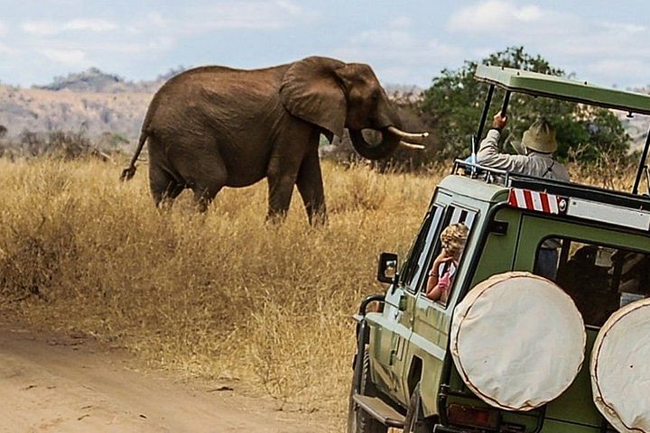 Stunning Kenya Safari: Amboseli, Lake Naivasha & Masai Mara Adventure