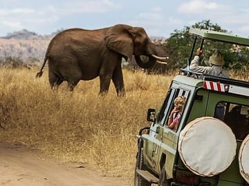 6-Day 4x4 Safari Tour in Kenya's National Parks