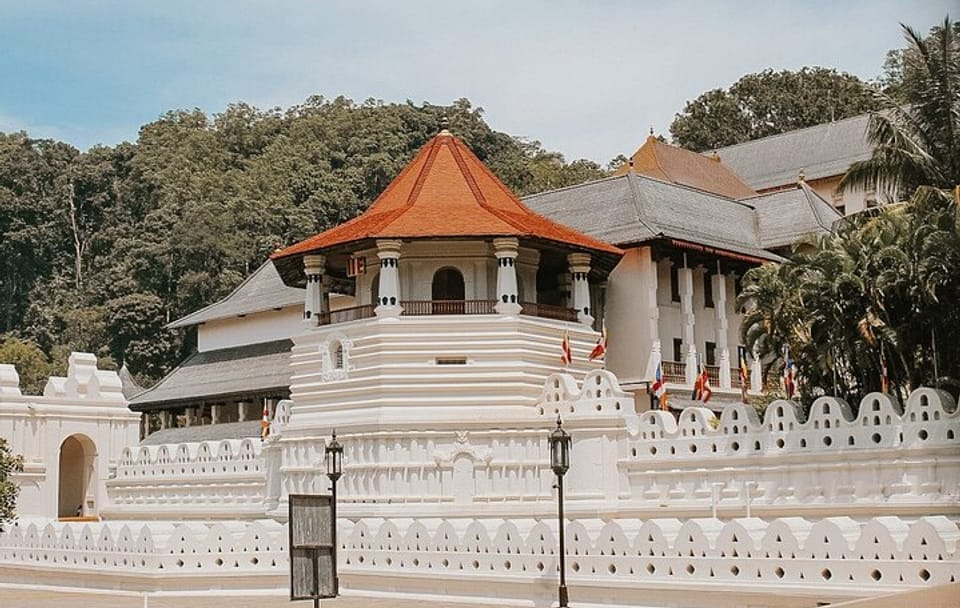 8-Day All-Inclusive Cultural Tour of Sri Lanka's Highlights