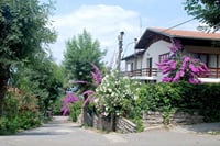 Istanbul All-Inclusive Princes’ Islands Tour+Lunch & Hotel Pickup 7