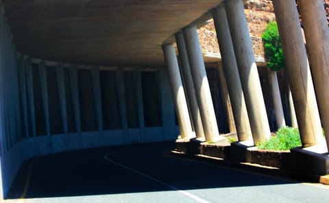 Cape Point and Penguin Viewing Tour from Cape Town